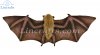 Soft Toy Orange Nectar Bat by Hansa (42cm.W) 8050