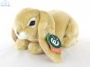 Soft Toy Lop Ear Rabbit by Living Nature (25cm) AN40