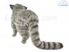 Scottish Wildcat by Hansa (41cm) 7629