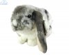 Soft Toy Lop Ear Rabbit by Living Nature (25cm) AN316g