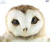Soft Toy Barn Owl Puppet by Hansa (28 cm) 8396