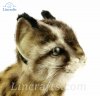 Soft Toy Wildcat, Leopard Cat Shihu by Hansa (20cm) 7739