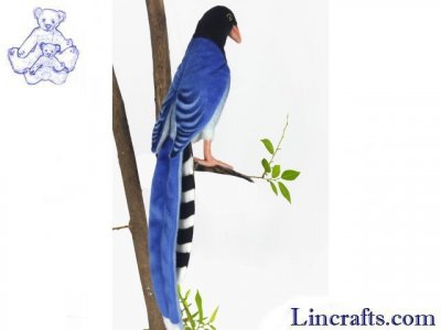 Soft Toy Bird, Taiwanese Blue Magpie by Hansa (19cm.H) 7137