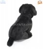Soft Toy Cane Corso Dog by Faithful Friends (25cm)H FCA03