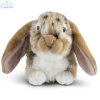 Soft Toy Lop Ear Rabbit by Living Nature (25cm) AN316b
