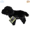 Plush Soft Toy Highland Calf, Logan, by Faithful Friends (17cm)H FHC26