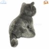Plush Soft Toy British Blue Cat by Faithful Friends (25cm)H FBBC03