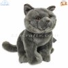 Plush Soft Toy British Blue Cat by Faithful Friends (25cm)H FBBC03
