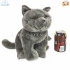 Plush Soft Toy British Blue Cat by Faithful Friends (25cm)H FBBC03