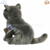 Plush Soft Toy British Blue Cat by Faithful Friends (25cm)H FBBC03