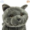 Plush Soft Toy British Blue Cat by Faithful Friends (25cm)H FBBC03