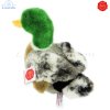 Plush Soft Toy Mallard Male Duck by Teddy Hermann (24 cm) 93131