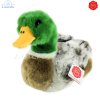 Plush Soft Toy Mallard Male Duck by Teddy Hermann (24 cm) 93131