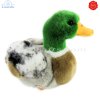 Plush Soft Toy Mallard Male Duck by Teddy Hermann (24 cm) 93131