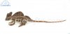 Soft Toy Brown Basilisk Lizard by Hansa (69cm) 8037