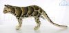 Soft Toy Clouded Leopard by Hansa (30cm.L) 7987