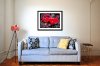 Drag Racing Car Print | Poster 40's Willys Coupe, Nutter Magnet - various sizes