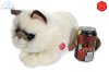 Plush Soft Toy Cat Ragdoll by Teddy Hermann (36 cm) 91840