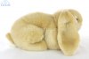 Soft Toy Lop Ear Rabbit by Living Nature (25cm) AN40