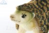 Soft Toy Pangolin by Hansa (37cm.L) 6132