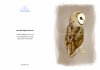Greeting Card featuring Hansa Soft Toy Barn Owl. Created by LDA. C2