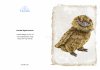 Greeting Card featuring Hansa Soft Toy Frogmouth. Created by LDA. C11