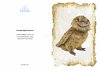 Greeting Card featuring Hansa Soft Toy Frogmouth. Created by LDA. C12