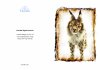 Greeting Card featuring a Hansa Soft Toy Lynx. Created by LDA. C22