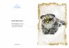 Greeting Card featuring Hansa Soft Toy Pallas Cat. Created by LDA. C24