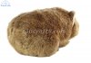 Soft Toy Wombat by Living Nature (25cm) AN683