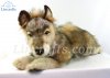 Soft Toy Wolf by Hansa (55cm) 4293
