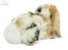 Soft Toy Lop Ear Rabbit by Living Nature (25cm) AN316b
