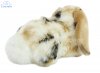 Soft Toy Lop Ear Rabbit by Living Nature (25cm) AN316g