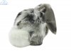 Soft Toy Lop Ear Rabbit by Living Nature (25cm) AN316g