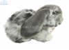 Soft Toy Lop Ear Rabbit by Living Nature (25cm) AN316g