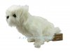 Soft Toy Dog, White Shih Tzu by Hansa (36cm.L) 7323