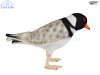 Soft Toy Bird, Hooded Plover by Hansa (20cm.L) 7888