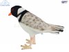 Soft Toy Bird, Hooded Plover by Hansa (20cm.L) 7888