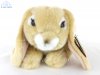 Soft Toy Lop Ear Rabbit by Living Nature (25cm) AN40