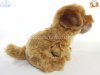 Soft Toy Border Terrier by Faithful Friends (23cm)H FBT03