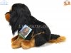 Soft Toy King Charles Cavalier Spaniel by Faithful Friends (23cm)H FBTCAV03