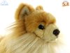 Soft Toy Pomeranian Puppy Dog by Faithful Friends (25cm)H FPOM03