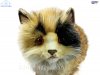 Soft Toy Tabby Cat by Hansa (35cm) 6966