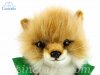 Soft Toy Dressed Boy Fox Cub by Hansa (20cm) 7820