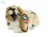 Soft Toy Lop Ear Rabbit by Living Nature (25cm) AN316b