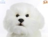 Soft Toy Bichon Frise Dog by Faithful Friends (23cm)H FBF03