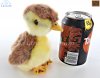 Soft Toy Mallard Duckling by Living Nature (14cm) AN789