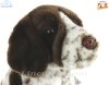 Soft Toy German Shorthaired Pointer Puppy Dog by Faithful Friends (25cm)H FGSP03