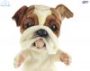 Soft Toy English Bulldog Puppet by Hansa (28 cm) 8448