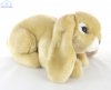 Soft Toy Lop Ear Rabbit by Living Nature (25cm) AN40